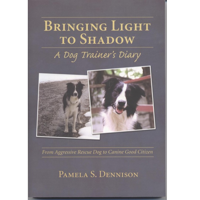 Bringing Light to Shadow front cover of book