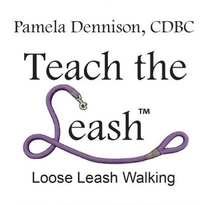 teach the leash - loose leash walking