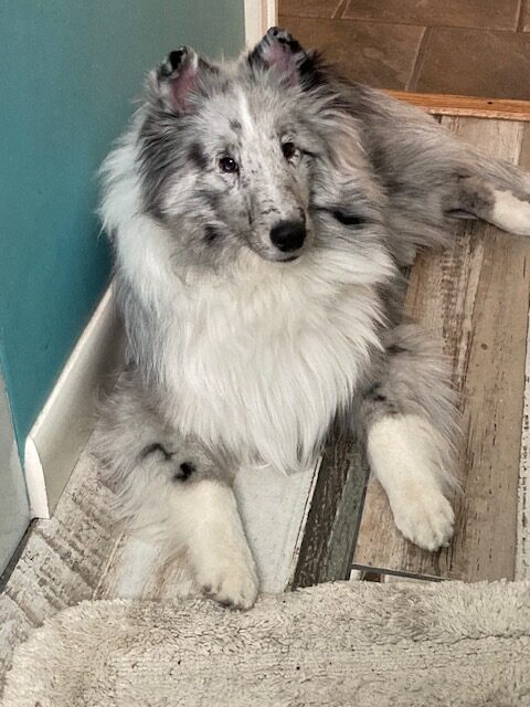 River at almost 9 months old